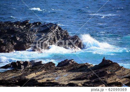 城ヶ崎海岸の望洋 城ヶ崎海岸の望洋 62099369