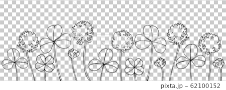 白三葉草線描 62100152