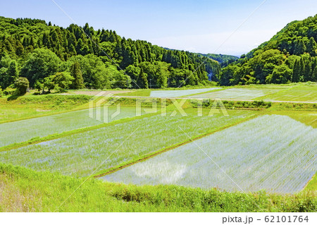 五月の田園風景、富山県氷見市長坂にて 62101764
