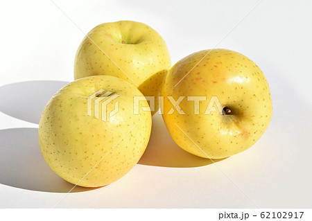 りんご（星の金貨） 62102917