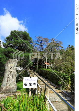 谷性寺 谷性寺 62102922