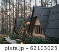 Vacation house in pine forest 62103023
