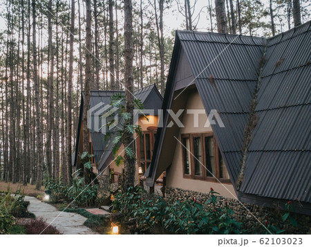 Vacation house in pine forest Vacation house in pine forest 62103023