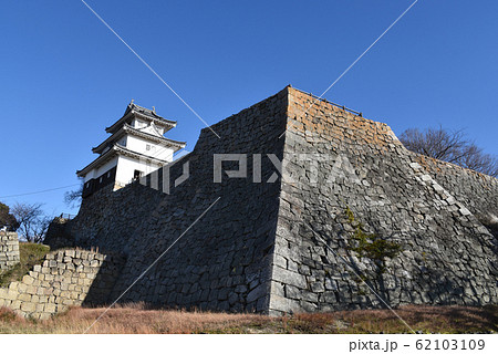丸亀城 本丸姫櫓と現存天守 丸亀城 本丸姫櫓と現存天守 62103109
