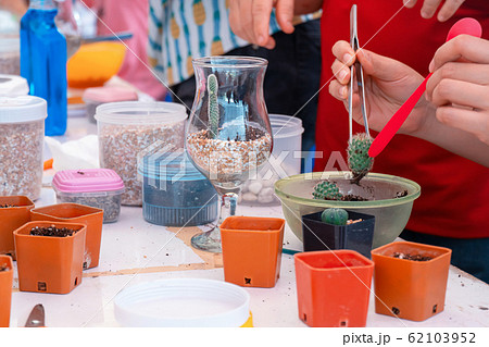 Planting trees, arranging a terrarium for home Planting trees, arranging a terrarium for home 62103952