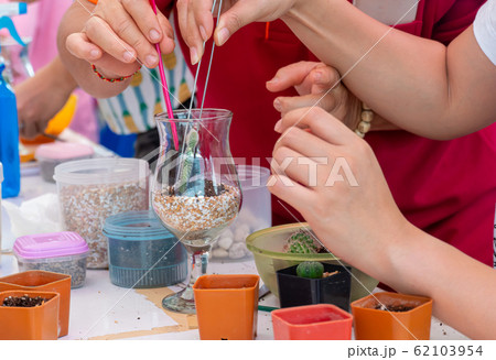 Planting trees, arranging a terrarium for home Planting trees, arranging a terrarium for home 62103954