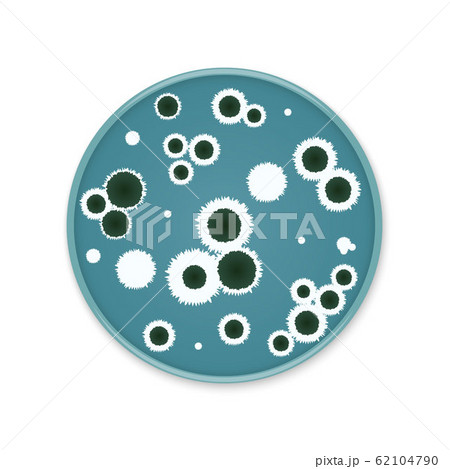 Bacteria colony spots on round dishes 62104790