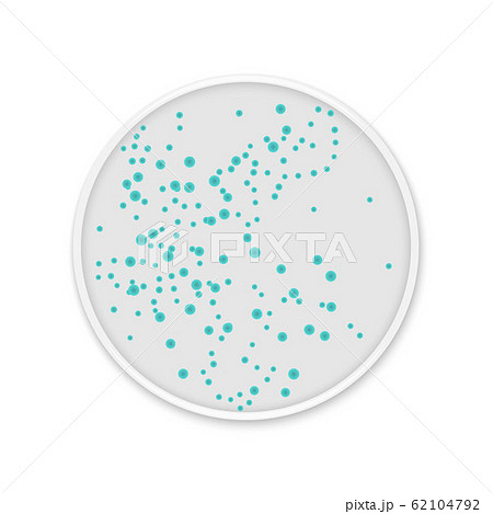 Bacteria colony spots on round dishes 62104792