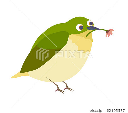 花をくわえるメジロのイラスト素材のイラスト素材