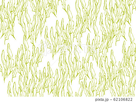 昆布 水彩画 柄 昆布 水彩画 柄 62106822
