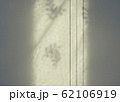 効果 裏面 灰色 62106919