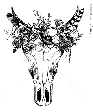 Cow, buffalo, bull skull in tribal style with flowers. Bohemian, boho vector illustration. Wild and free ethnic gypsy symbol. Cow, buffalo, bull skull in tribal style with flowers. Bohemian, boho vector illustration. Wild and free ethnic gypsy symbol. 62108081