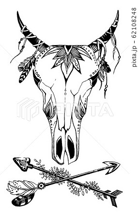 Cow, buffalo, bull skull in tribal style with flowers. Bohemian, boho vector illustration. Wild and free ethnic gypsy symbol. 62108248