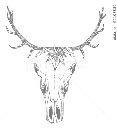 Cow, buffalo, bull skull in tribal style with flowers. Bohemian, boho vector illustration. Wild and free ethnic gypsy symbol. 62108380