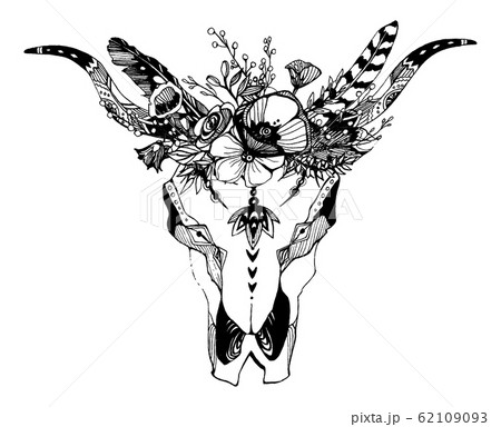 Cow, buffalo, bull skull in tribal style with flowers. Bohemian, boho vector illustration. Wild and free ethnic gypsy symbol. Cow, buffalo, bull skull in tribal style with flowers. Bohemian, boho vector illustration. Wild and free ethnic gypsy symbol. 62109093