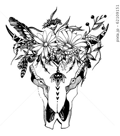 Cow, buffalo, bull skull in tribal style with flowers. Bohemian, boho vector illustration. Wild and free ethnic gypsy symbol. 62109151