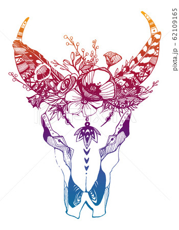 Cow, buffalo, bull skull in tribal style with flowers. Bohemian, boho vector illustration. Wild and free ethnic gypsy symbol. Cow, buffalo, bull skull in tribal style with flowers. Bohemian, boho vector illustration. Wild and free ethnic gypsy symbol. 62109165