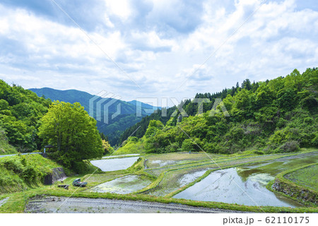 沢尻の棚田 沢尻の棚田 62110175