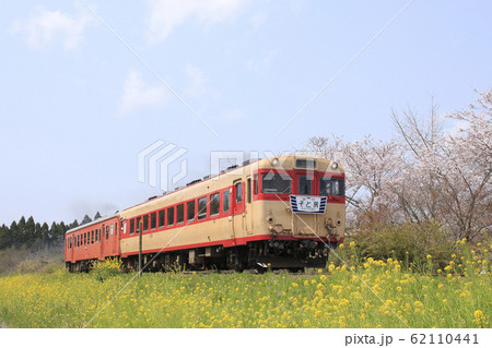 桜咲く、いすみ鉄道の急行列車 62110441