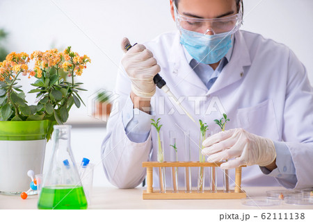 Young male chemist working in the lab 62111138