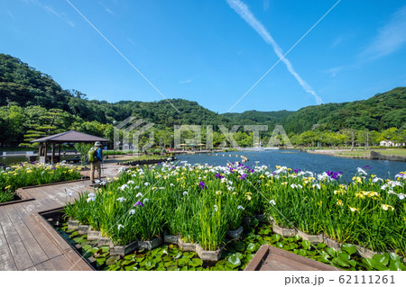 あやめ池公園 青空 62111261