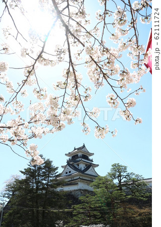 桜満開の春の高知城 桜満開の春の高知城 62111724
