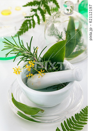 White mortar and pestle with herbs. White mortar and pestle with herbs. 62112197