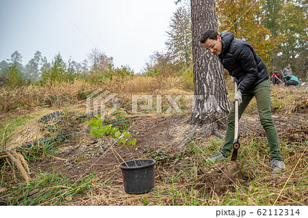 preparing holes in the forest for planting young trees preparing holes in the forest for planting young trees 62112314