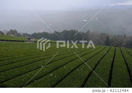 雪降る茶畑（奈良県山添村） 62112484