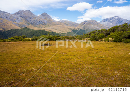 キーサミットトラック　Key Summit Track　ルートバーントラック　Routeburn 62112716