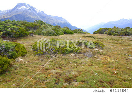 キーサミットトラック　Key Summit Track ルートバーントラック　Routeburn 62112844