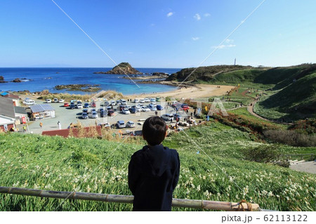 伊豆下田 爪木崎の水仙まつりの写真素材