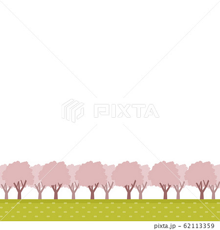 桜並木の風景　イラスト 62113359