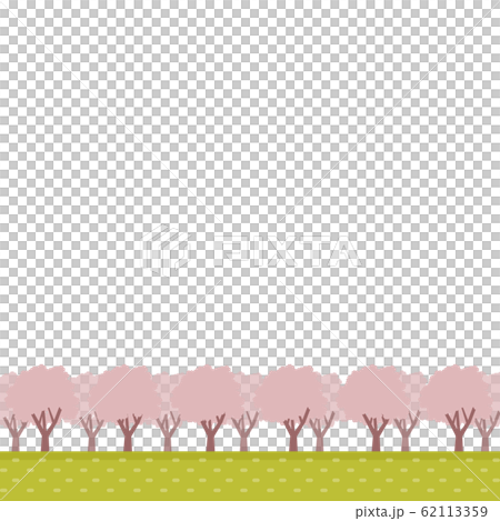 Cherry blossom tree landscape illustration Cherry blossom tree landscape illustration 62113359