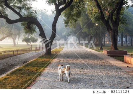 red fort park red fort park 62115123