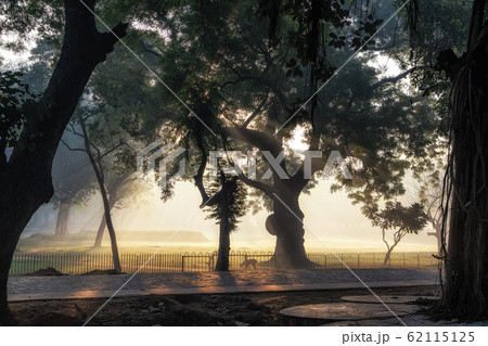 red fort park 62115125