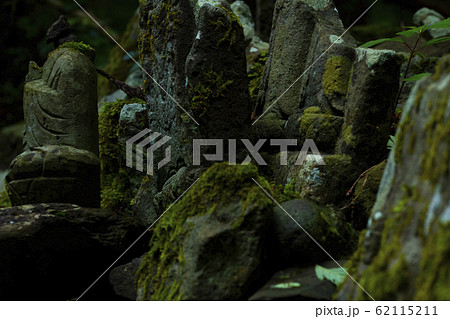 苔寺 62115211