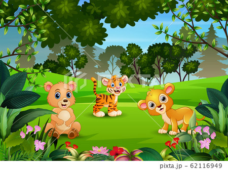 Wild animal playing in the jungle 62116949