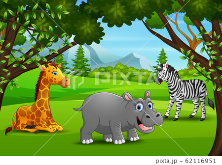 Wild animals cartoon enjoying in the jungle 62116951