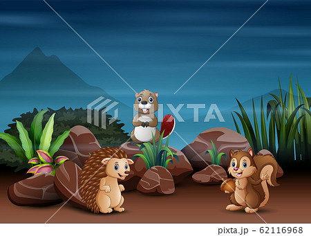 Animals cartoon playing in the night scene 62116968