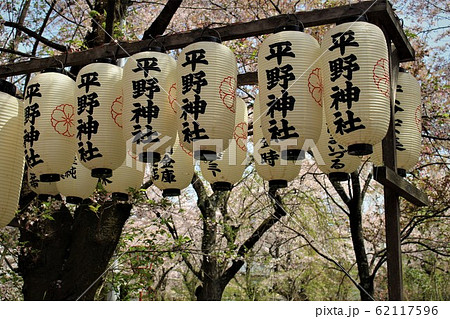 平野神社の桜 平野神社の桜 62117596