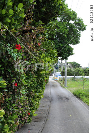 沖縄　本部　瀬底島集落 62118563