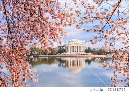 Washington, DC at the Tidal Basin and Jefferson Washington, DC at the Tidal Basin and Jefferson 62118795