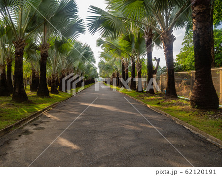 Walkway 62120191