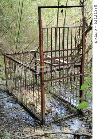 箱罠 箱罠 62121530