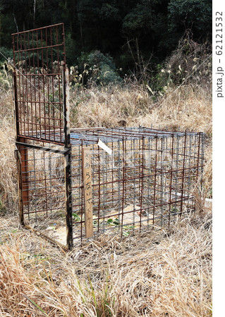 箱罠 箱罠 62121532