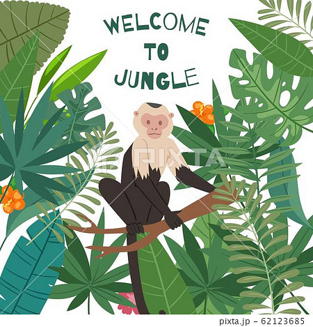 Monkey white headed capuchin in jungles leaves frame vector illustration. Welcome to jungle, palm leaves with exotic jungle monkey or ape for summer sale banner or poster. 62123685