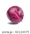 Red cabbage isolated on white background 62124375