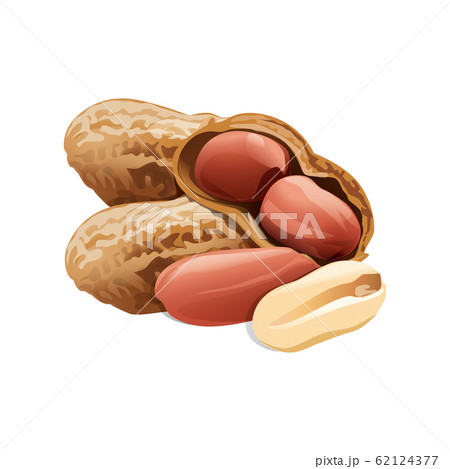 a handful of peanuts in the shell and without shell on a white background 62124377