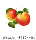 Red ripe apple with green leaves on the white background 62124401